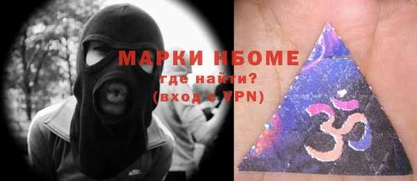 индика Гусиноозёрск
