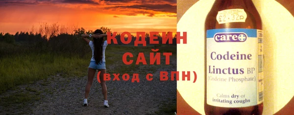 apvp Гусев