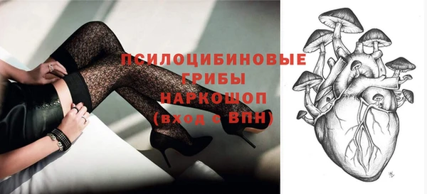 apvp Гусев
