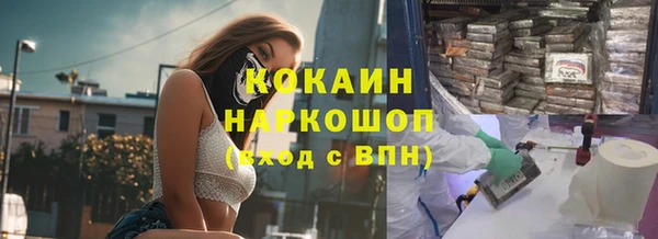 apvp Гусев