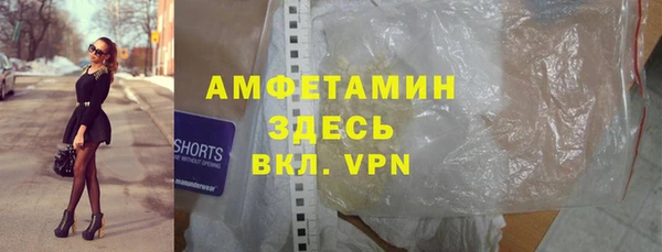 индика Гусиноозёрск