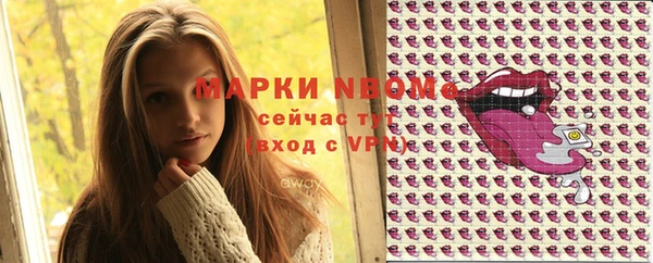 apvp Гусев