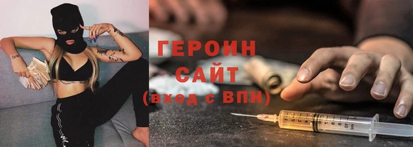 индика Гусиноозёрск