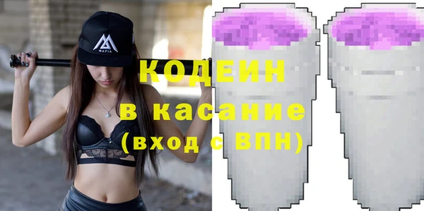 индика Гусиноозёрск