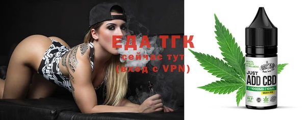 индика Гусиноозёрск