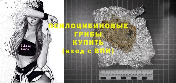 индика Гусиноозёрск