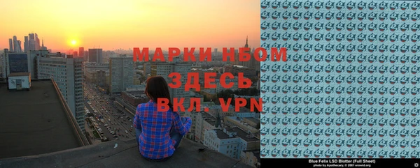 индика Гусиноозёрск