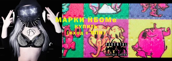 индика Гусиноозёрск