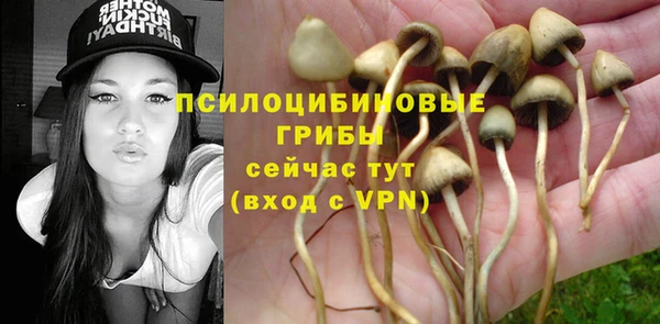 mdpv Гусь-Хрустальный