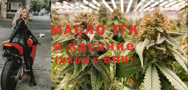 индика Гусиноозёрск