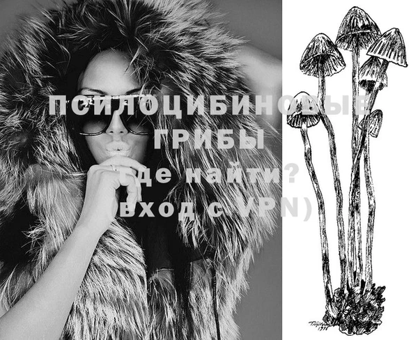 mdpv Гусь-Хрустальный