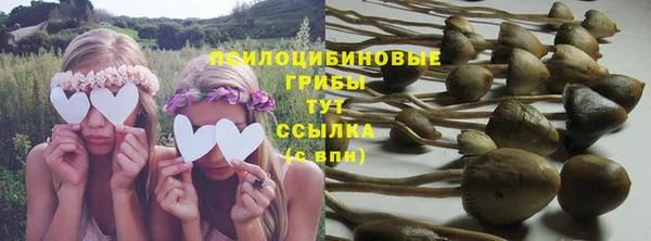 индика Гусиноозёрск