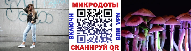 Купить  Костерёво  Галлюциногенные грибы Psilocybine cubensis 